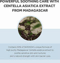 Centella Hyalu-Cica Moisture Cream